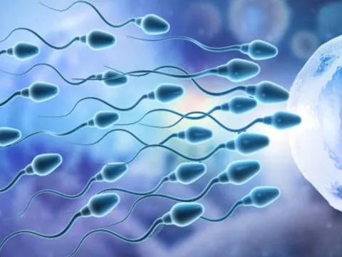 Những yếu tố cản trở việc sản xuất tinh trùng nam giới cần biết