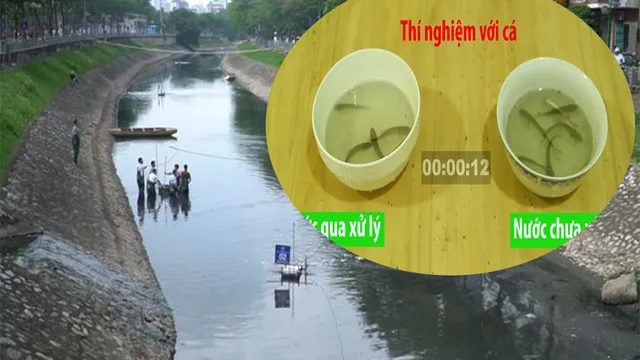 Thử nghiệm thả cá vào nước sông Tô Lịch đã được làm sạch và cái kết bất ngờ